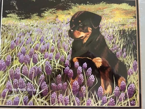 Impresión en color de cachorro Rottweiler por Martha Van Loan edición limitada firmada número 11x17 - Imagen 1 de 1