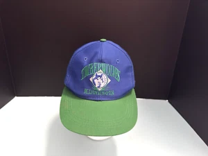 Cappello Berretto Minnesota Timberwolves NBA Signature AJD Vintage anni 90 Junior Bambini Vintage - Foto 1 di 13