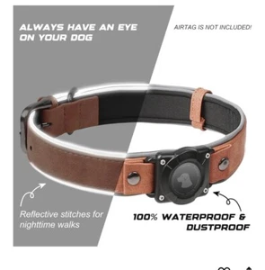 AirTag Holder - GPS Dog Collar with Handle. Tactical Collar for Medium-Large Dog - Picture 1 of 6