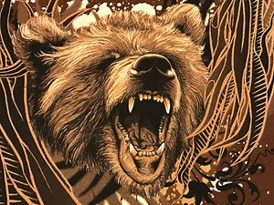 New Animal Planet Men’s T-shirt Grizzly Bear Brown Large - Picture 1 of 8