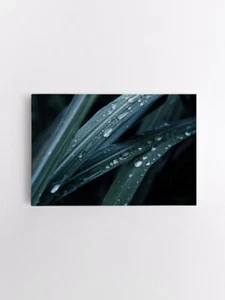 Blätter Leinwandbild Tropische Blatt Wandbilder Botanik Bild Vlies XXL - Bild 1 von 7