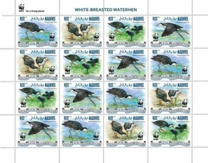 WHITE-BREASTED WATERHEN Waterbirds/Birds WWF MNH 16v-Stamp Sheet 6 2013 Maldives - Picture 1 of 1