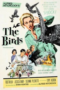 The Birds Movie Poster 27x40 27"x40" USA Ships Rolled Poster - Picture 1 of 1