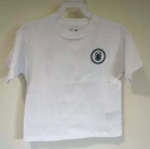 NWT Gap Kids DC Blue Beetle Shirt Boy's Size 6-7 - Picture 1 of 2