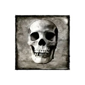 Impresión En Lienzo En Papel Póster O Cuadro Wagner Martin Skull I - Imagen 1 de 2