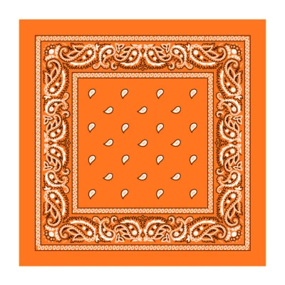 NUEVO PAISLEY ALGODÓN ESTAMPADO BUFANDA PAÑUELO PAÑUELO PAÑUELO CABEZA ABRIGO DURAG   Foto 1 de 4