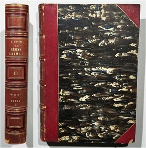 Georges Cuvier - Le Regne Animal. Vol. 13 - Les Insectes / Insekten insects 1849 - Imagen 1 de 1