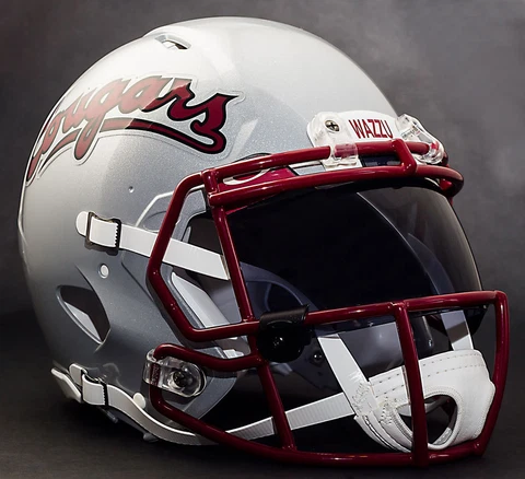 *CUSTOM* WASHINGTON STATE COUGARS NCAA Riddell Speed AUTHENTIC Football Helmet Cover