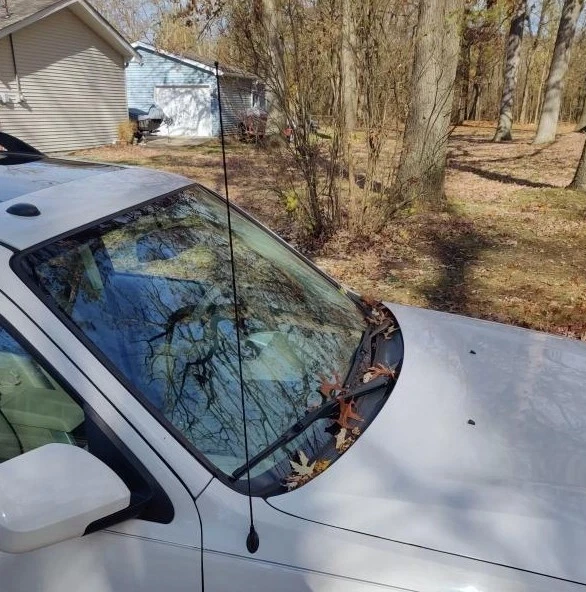 Mástil de antena de acero inoxidable negro de 31 pulgadas radio AM/FM para Mazda MPV 1989-2006 Foto 1 de 4