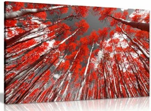 Rote Bäume auf schwarz-weißem Hintergrund Leinwand Wandbild Bild Druck - Bild 1 von 5