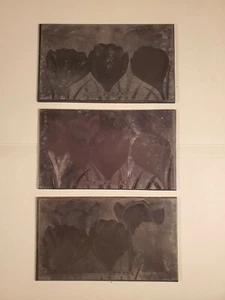 (3) Vtg Etching Engraved Metal Printing Machine Press Plate Stamp ~ Mixed Crocus - Picture 1 of 5
