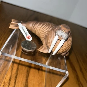 NUEVO Schleich 14803 Morsa RETIRADA figura vida silvestre vida marina animal réplica juguete - Imagen 1 de 8