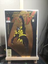 The Ray #1 Signed By Howard Porter.