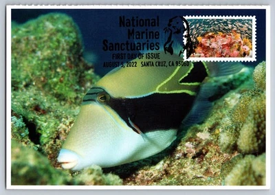 #5713k National Marine Sanctuaries Young Rockfish & Reef FDC Maxi Card w/Pictori - Image 1 of 2