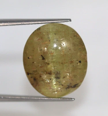 20.61 Ct Big Size Natural Green Chrysoberyl Cat's eye Loose Oval 17x14 mm Gem - Image 1 of 4