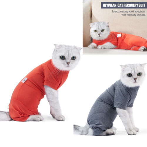 Costume de récupération pour chat animal de compagnie à quatre pattes anti-léchage chirurgie vêtements