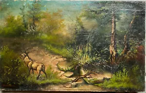 ::ROTHIRSCH ROMANTIKER UM 1870 WIDMAIER ? SIGNIERT °WALD LICHTUNG JAGD TROPHÄE - Bild 1 von 6
