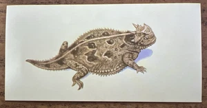 Vintage - 1962 - Gelles Widmer - Reptile CARD -23. Texas Horned Lizard - Picture 1 of 2