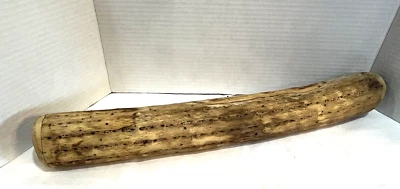 Rainstick Chilean Cactus Handmade Rainstick 20" Long - Image 1 of 3