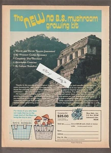 Vintage 1979 MAYA BELLS Magazine AD~MUSHROOM Growing KIT~Lakewood, CO. - Picture 1 of 2