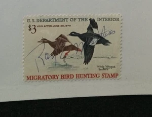 # RW36 - 1969 $3.00 Federal Duck Stamp - White-Winged Scoters Item 1 - Picture 1 of 2