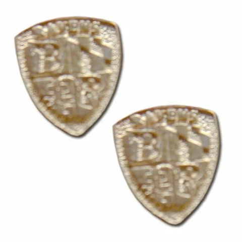 Baltimore Ravens Post Earrings Cover