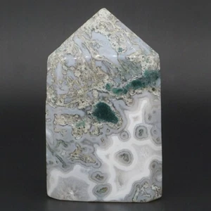 281g Natural Tree Grain Agate Crystal Palm Stone Material Reiki Energy Specimen - Imagen 1 de 5