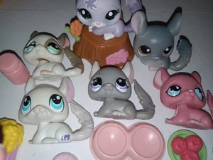 Lote Littlest Pet Shop Chinchilla #144 #495 #599 #1018 #1401 #2135 y accesorios  - Imagen 1 de 10