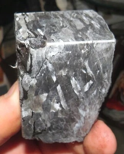 BEAUTIFUL 724 GM. ETCHED CAMPO DEL CIELO METEORITE QUAD CUT - Picture 1 of 3