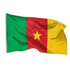 Kamerun Flagge Fahne Kamerunfahne 90 150 Cm Messing Ösen Hiss Hissflagge Afrika