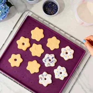 Nueva bandeja para hornear galletas de silicona Tupperware - Imagen 1 de 2