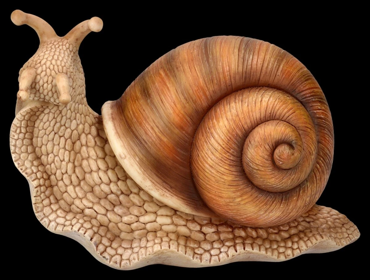 Design Toscano Schnecken-Gartenskulptur 'Im Schneckentempo' – Grau, Kunstharz | 20,5 X 38 X 40,5 Cm