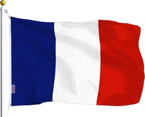 Bandera de Francia - Bandera Nacional Francesa - Con Ojales 3'x5' - Imagen 1 de 1