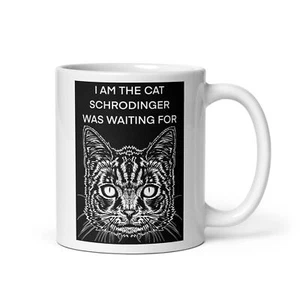 TAZA - SOY EL GATO QUE SCHRÖDINGER ESTABA ESPERANDO - las palabras del gato .1- tazas desayuno - Imagen 1 de 8