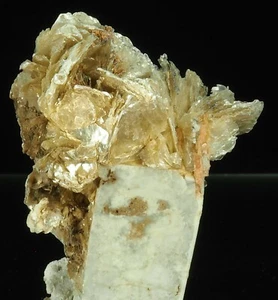 Hervorragende POLYLITHIONIT SERANDIT MICROCLINE Mineral Probe Mont Saint Hilaire - Bild 1 von 4