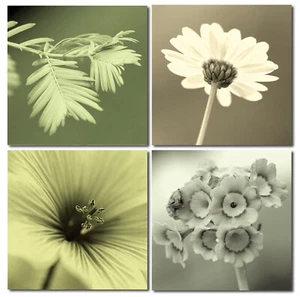 Picture Photo Print Wood Fiberboard Mural 4er Set Simple Mounting Motif Flowers - Picture 1 of 12