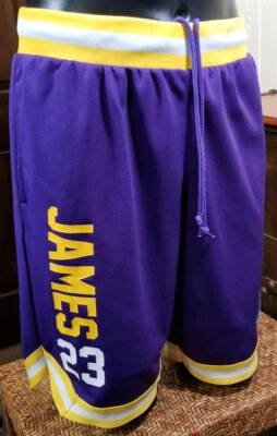 Pantalones Cortos de Baloncesto Los Angeles Lakers Lebron James 23 Púrpura Dorado Adulto Talla M  Foto 1 de 4