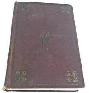 Antique Twice Told Tales Nathaniel Hawthorne, Henry AltemusPublications,pre1896? - Picture 1 of 8