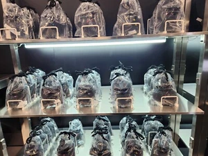 BT21 X FRAGMENTO Llavero de Peluche MUÑECA en Seúl emergente icónico MD exclusivo - Imagen 1 de 1