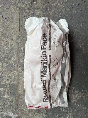 X2 Little Anne HLW Trainingspuppe Ersatz Gesichter Licht - Bild 1 von 2