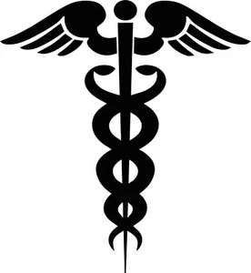 NURSING DECAL STICKER - Picture 1 of 1