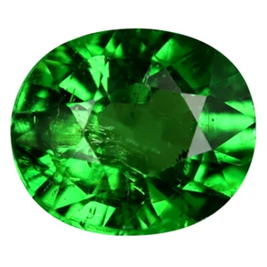 1,17 quilates Excelente Corte Ovalado (7 x 6 mm) Tanzania Verde Tsavorita Granate Piedra Preciosa - Imagen 1 de 2