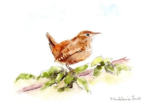 Wren, Bird in Summer 5.5in x 7.5in Original Watercolour painting - Picture 1 of 1
