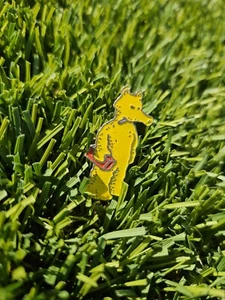 Quasimoto XXX Madlib Lord XX Quas Emaille Pin Rap Musik GEBRAUCHT DRAAG IT YOUR WAY - Bild 1 von 8