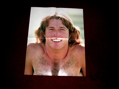 Vintage Andy Gibb 2 Original Centerfolds From Teen Magazines Lot #1 Excellent - Image 1 of 3