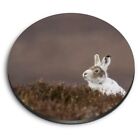 Round MDF Magnets - Mountain Hare Rabbit Tundra #12622