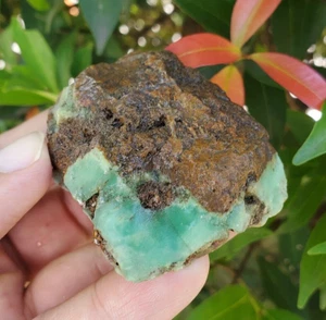 61Gr Natural CHRYSOPRASE Certified mineral Specimen Rough Indonesia - Picture 1 of 5