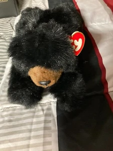TY Classic Plush, Romeo & Baby Paws - Picture 1 of 6