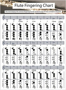 Tabla de acordes de flauta SYCOOVEN, práctica de digitación portátil duradera char de acordes blancos - Imagen 1 de 12