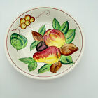 Vintage The Ironstone MG Colorful Ceramic Hand painted Fruit Serving Bowl Englan